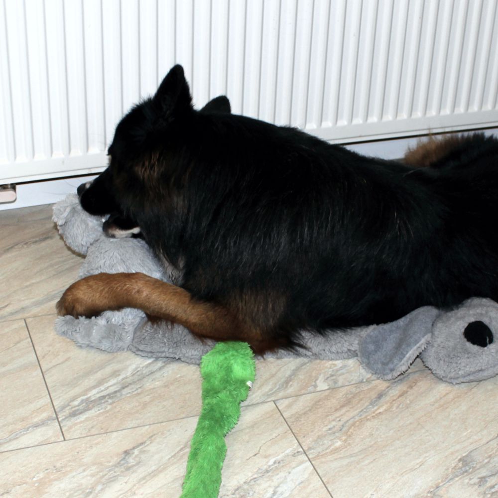 Beeztees Plüsch-Hundespielzeug - 40 cm - Kuscheltier Plüschtier ohne Squeaker