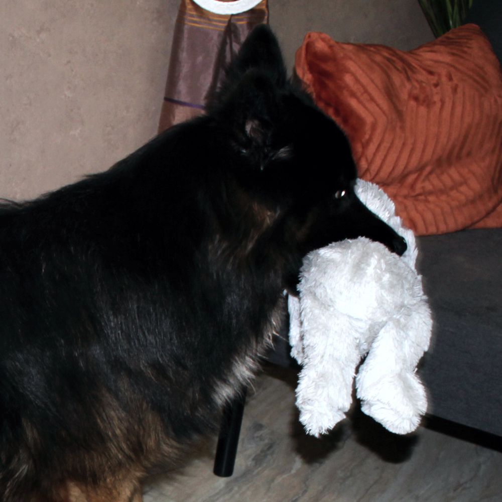 Beeztees Plüsch-Hundespielzeug - 40 cm - Kuscheltier Plüschtier ohne Squeaker