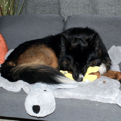Beeztees Plüsch-Hundespielzeug - RIB - Kuscheltier Plüschtier mit Squeaker