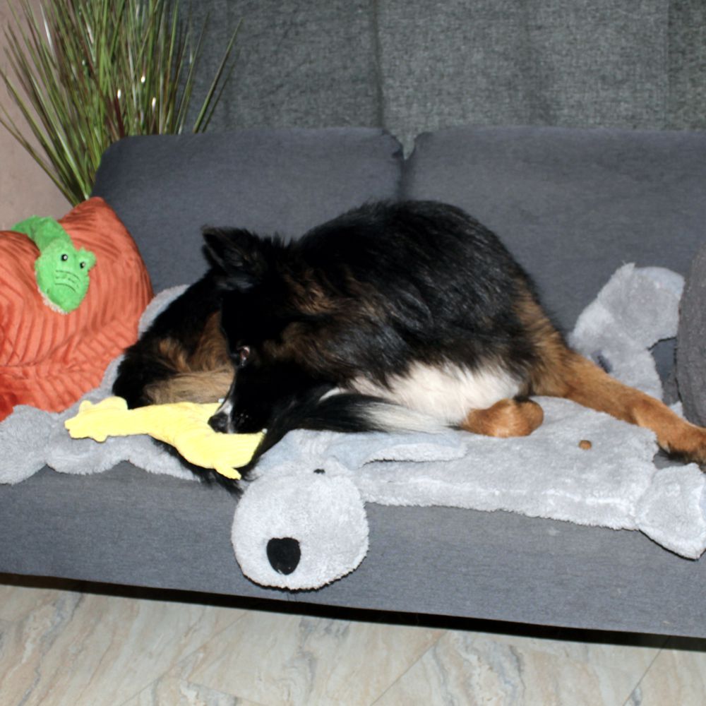 Beeztees Plüsch-Hundespielzeug - RIB - Kuscheltier Plüschtier mit Squeaker