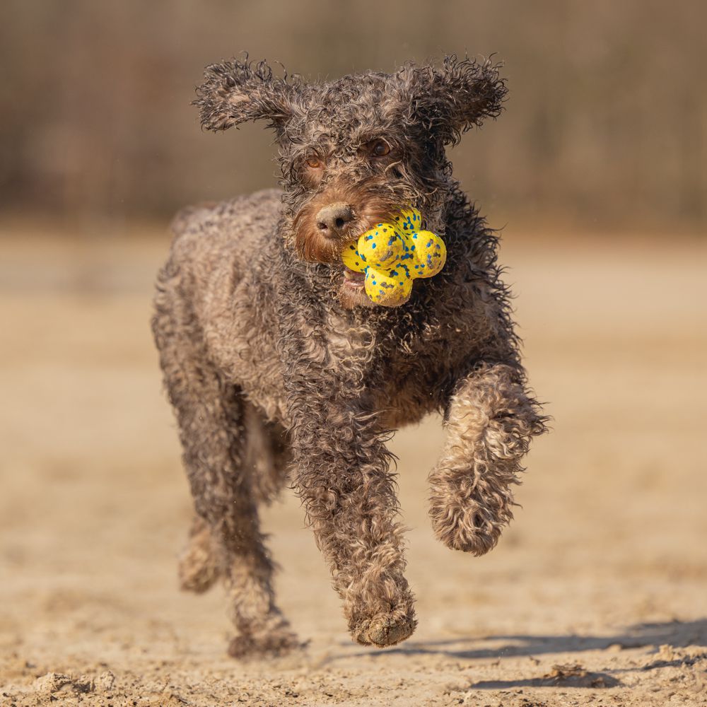 Beeztees Fetch Ball ATOM - Wasserspielzeug Apportierspielzeug Hundespielzeug