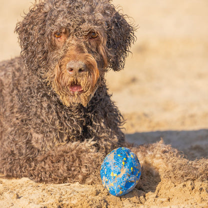Beeztees Fetch Ball FOOTBALL - Wasserspielzeug Apportierspielzeug Hundespielzeug