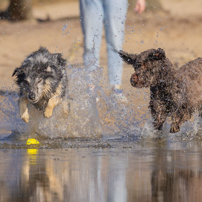 Beeztees Fetch Ball FOOTBALL - Wasserspielzeug Apportierspielzeug Hundespielzeug