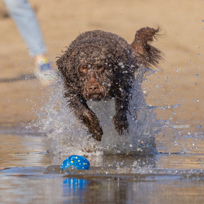 Beeztees Fetch Ball FOOTBALL - Wasserspielzeug Apportierspielzeug Hundespielzeug