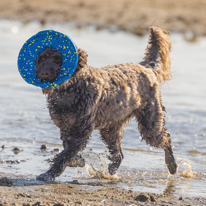 Beeztees Fetch Wurfscheibe - Wasserspielzeug Apportierspielzeug Hundespielzeug