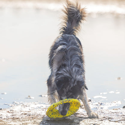 Beeztees Fetch Wurfscheibe - Wasserspielzeug Apportierspielzeug Hundespielzeug