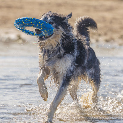 Beeztees Fetch Wurfscheibe - Wasserspielzeug Apportierspielzeug Hundespielzeug