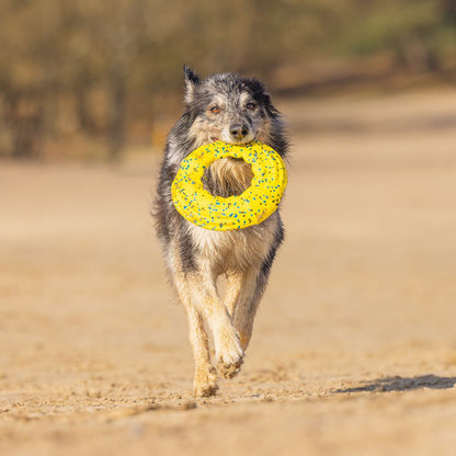 Beeztees Fetch Wurfscheibe - Wasserspielzeug Apportierspielzeug Hundespielzeug