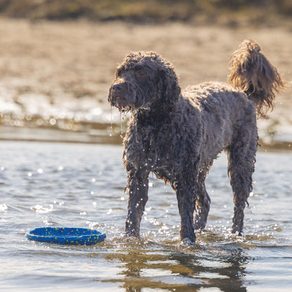 Beeztees Fetch Wurfscheibe - Wasserspielzeug Apportierspielzeug Hundespielzeug