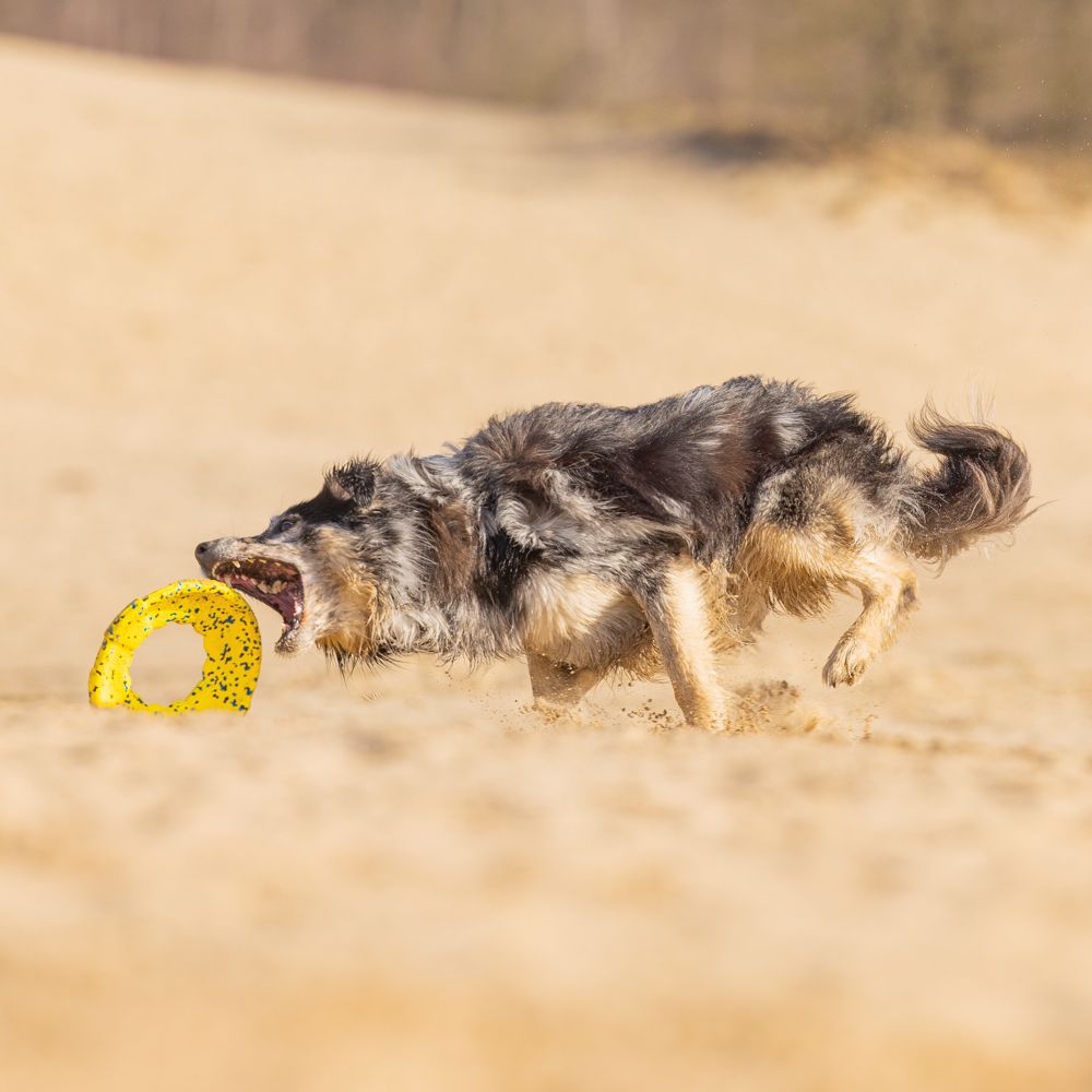 Beeztees Fetch Wurfscheibe - Wasserspielzeug Apportierspielzeug Hundespielzeug