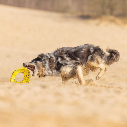 Beeztees Fetch Wurfscheibe - Wasserspielzeug Apportierspielzeug Hundespielzeug
