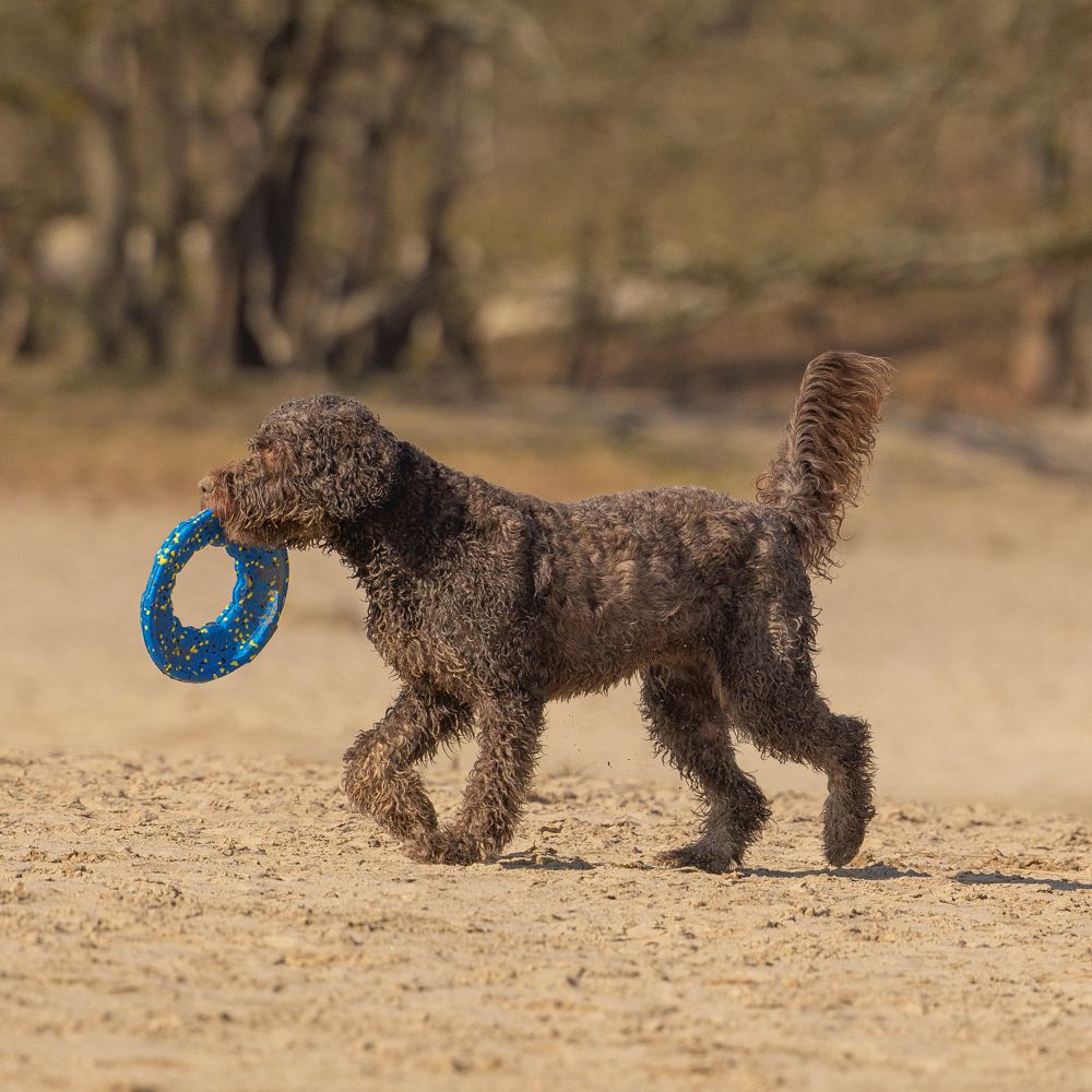 Beeztees Fetch Wurfscheibe - Wasserspielzeug Apportierspielzeug Hundespielzeug