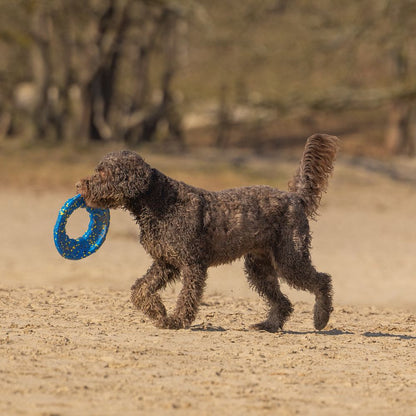Beeztees Fetch Wurfscheibe - Wasserspielzeug Apportierspielzeug Hundespielzeug