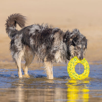 Beeztees Fetch Wurfscheibe - Wasserspielzeug Apportierspielzeug Hundespielzeug