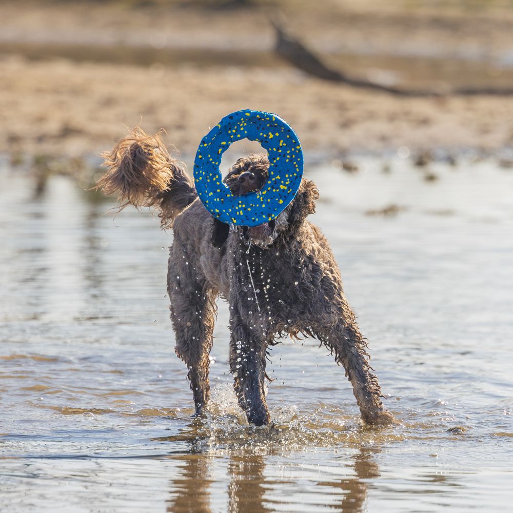 Beeztees Fetch Wurfscheibe - Wasserspielzeug Apportierspielzeug Hundespielzeug