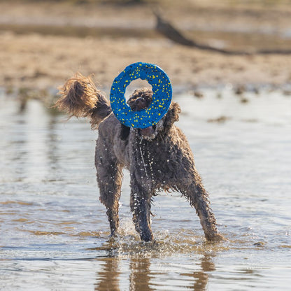 Beeztees Fetch Wurfscheibe - Wasserspielzeug Apportierspielzeug Hundespielzeug