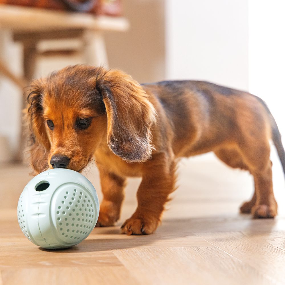 Beeztees Puppy Snack-Ei - Welpen Beschäftigungsball Snackball Futterball - Snack Leckerli