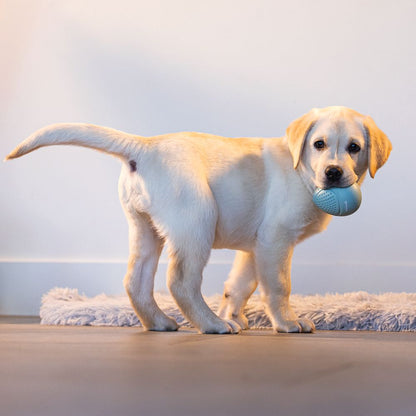 Beeztees Puppy Snack-Ei - Welpen Beschäftigungsball Snackball Futterball - Snack Leckerli