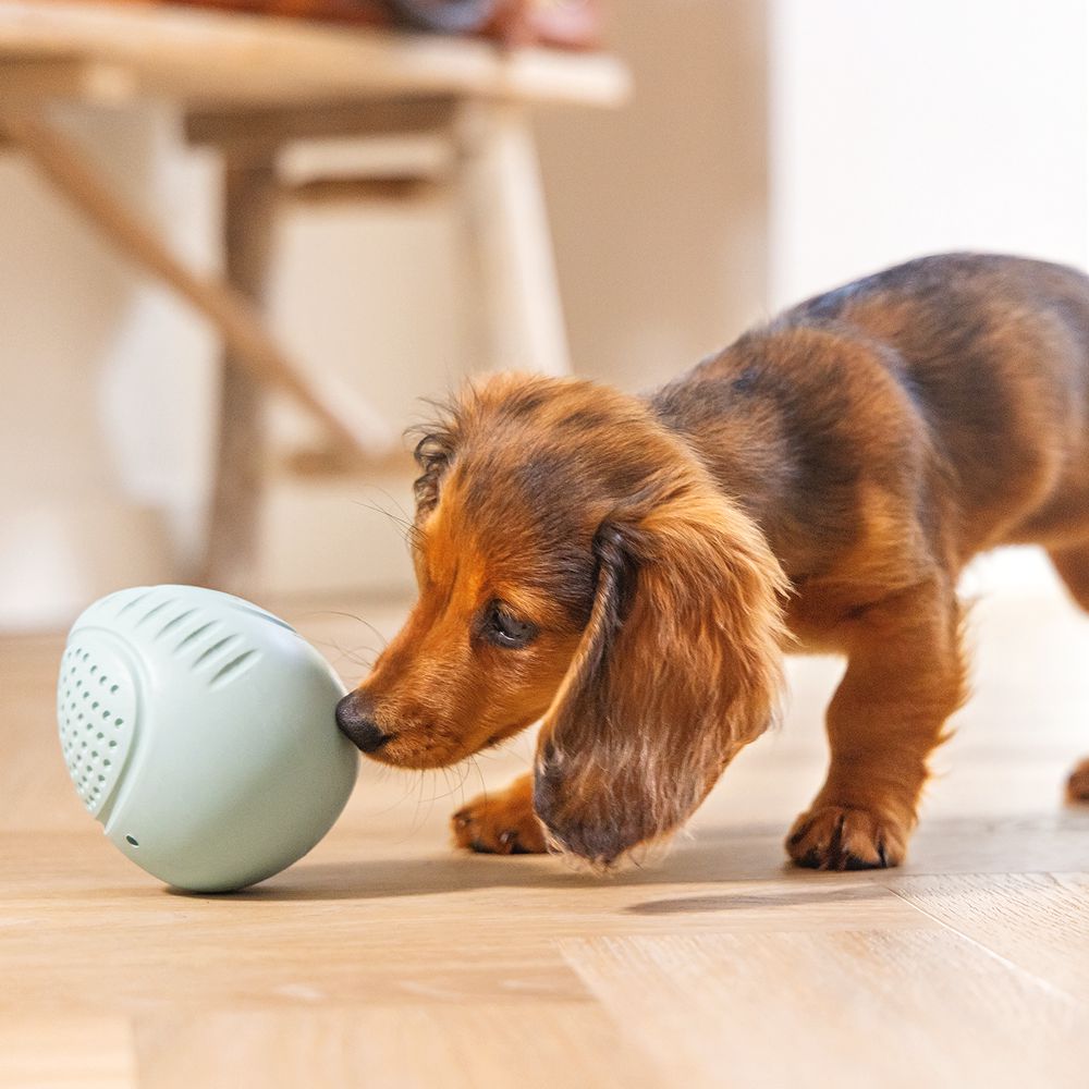 Beeztees Puppy Snack-Ei - Welpen Beschäftigungsball Snackball Futterball - Snack Leckerli
