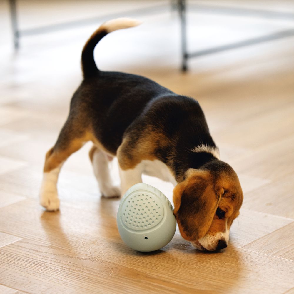 Beeztees Puppy Snack-Ei - Welpen Beschäftigungsball Snackball Futterball - Snack Leckerli