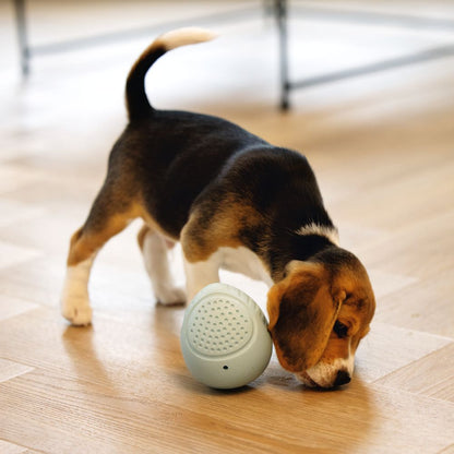 Beeztees Puppy Snack-Ei - Welpen Beschäftigungsball Snackball Futterball - Snack Leckerli