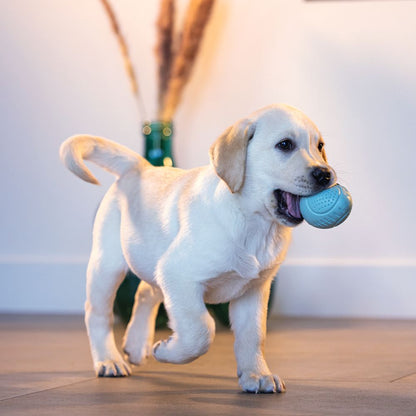 Beeztees Puppy Snack-Ei - Welpen Beschäftigungsball Snackball Futterball - Snack Leckerli