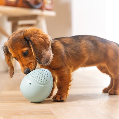 Beeztees Puppy Snack-Ei - Welpen Beschäftigungsball Snackball Futterball - Snack Leckerli