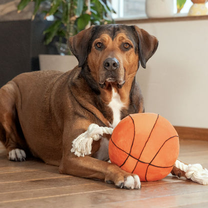 Beeztees Plüsch-Ball mit Seil - Apportieren Zerren Suchen - Apportierspielzeug