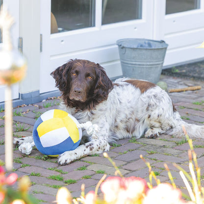 Beeztees Plüsch-Ball mit Seil - Apportieren Zerren Suchen - Apportierspielzeug