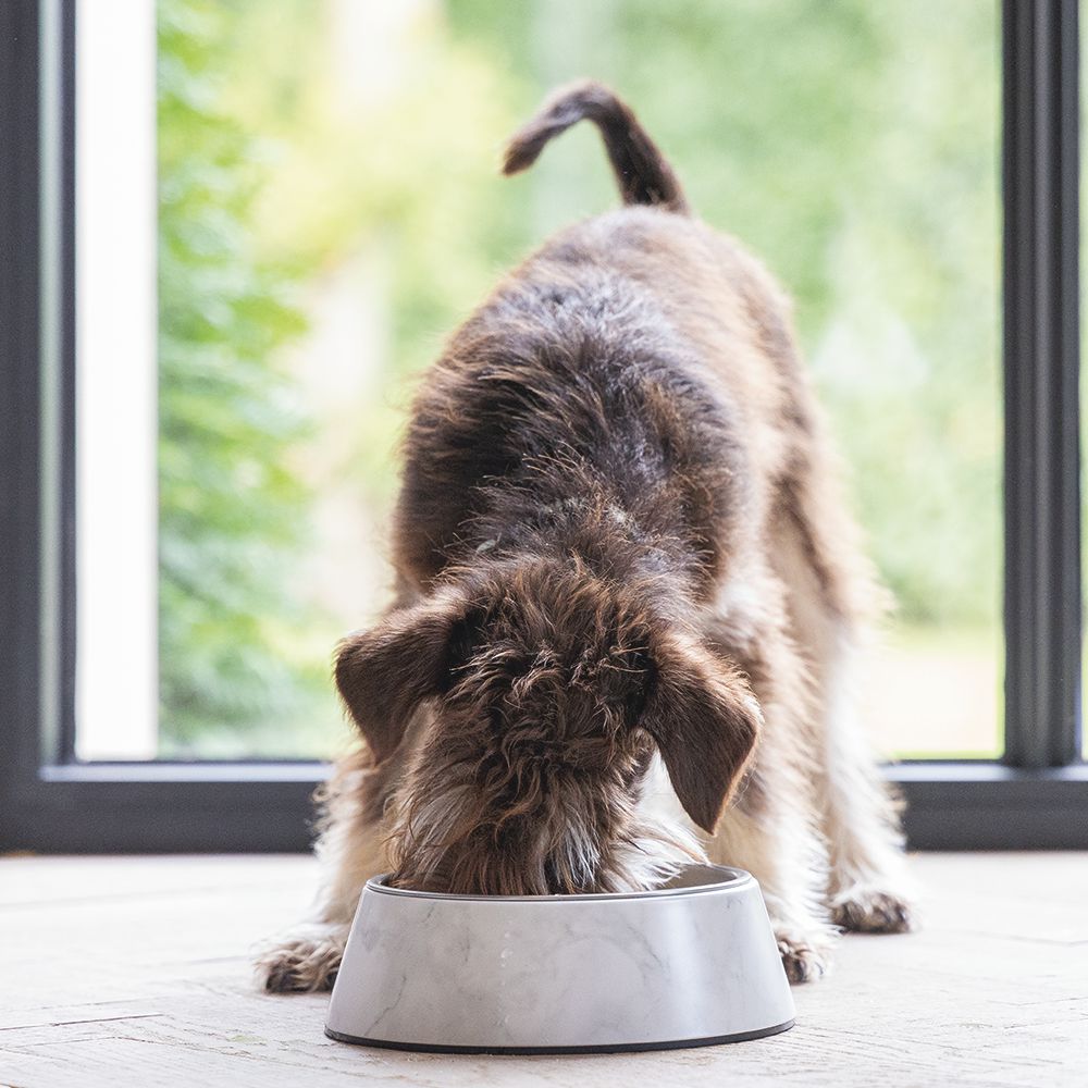 Designed by Lotte Hundenapf MEIS - Edelstahl - Futternapf Wassernapf marmoriert