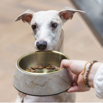 Designed by Lotte Hundenapf MEIS - Edelstahl - Futternapf Wassernapf marmoriert