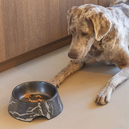 Designed by Lotte Hundenapf MEIS - Edelstahl - Futternapf Wassernapf marmoriert