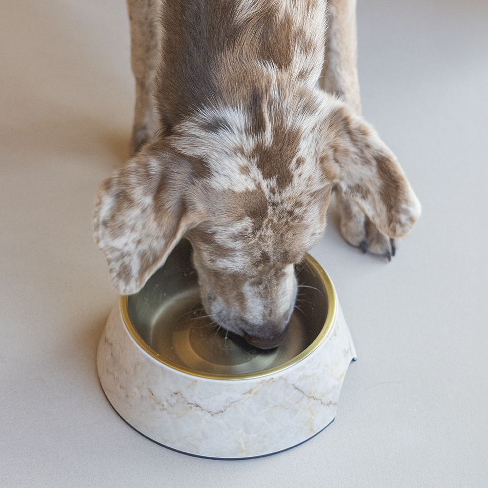 Designed by Lotte Hundenapf MEIS - Edelstahl - Futternapf Wassernapf marmoriert