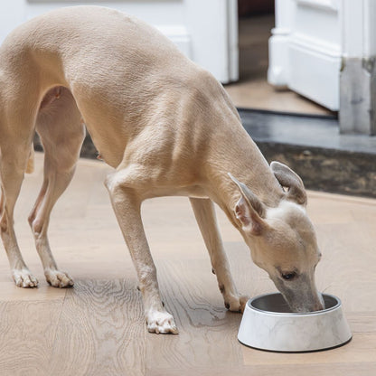 Designed by Lotte Hundenapf MEIS - Edelstahl - Futternapf Wassernapf marmoriert