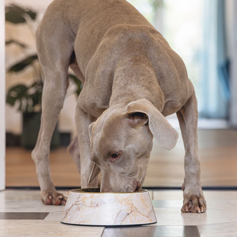 Designed by Lotte Hundenapf MEIS - Edelstahl - Futternapf Wassernapf marmoriert