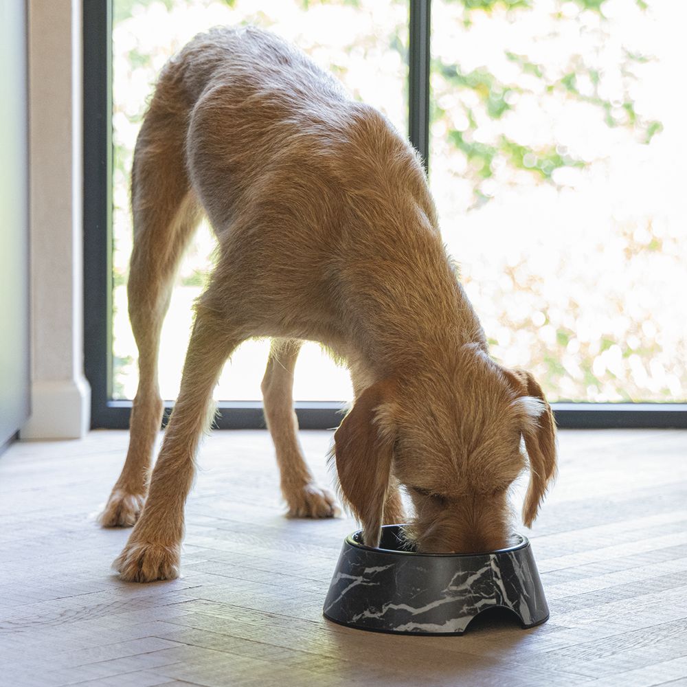Designed by Lotte Hundenapf MEIS - Edelstahl - Futternapf Wassernapf marmoriert