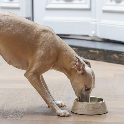 Designed by Lotte Hundenapf MEIS - Edelstahl - Futternapf Wassernapf marmoriert