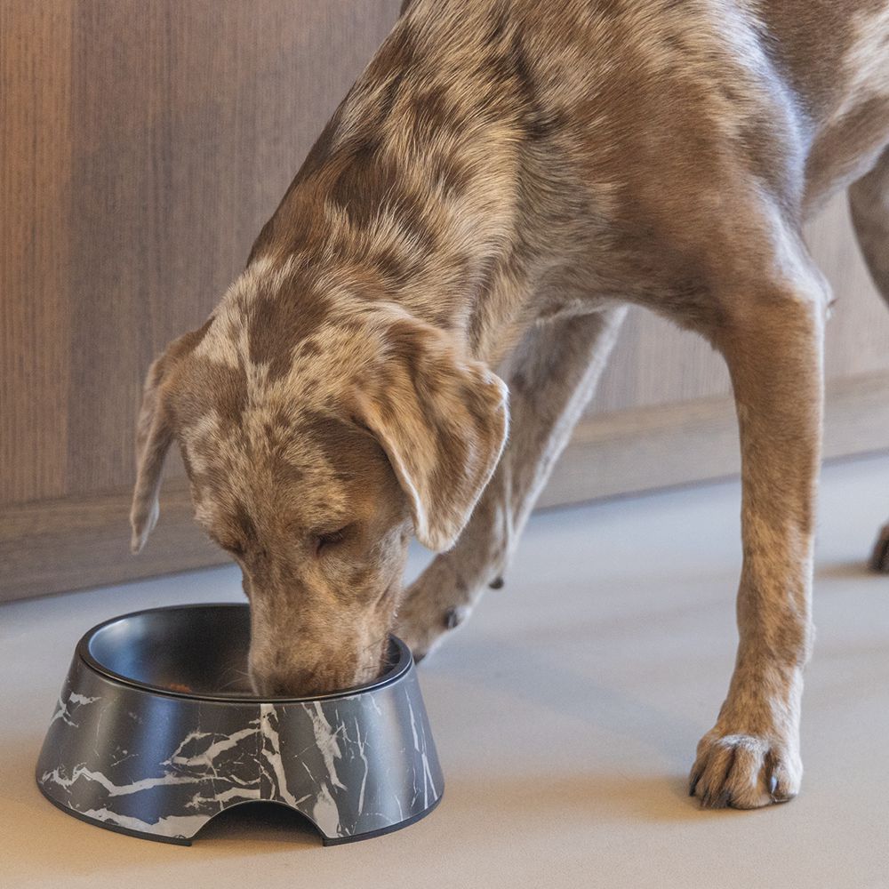 Designed by Lotte Hundenapf MEIS - Edelstahl - Futternapf Wassernapf marmoriert