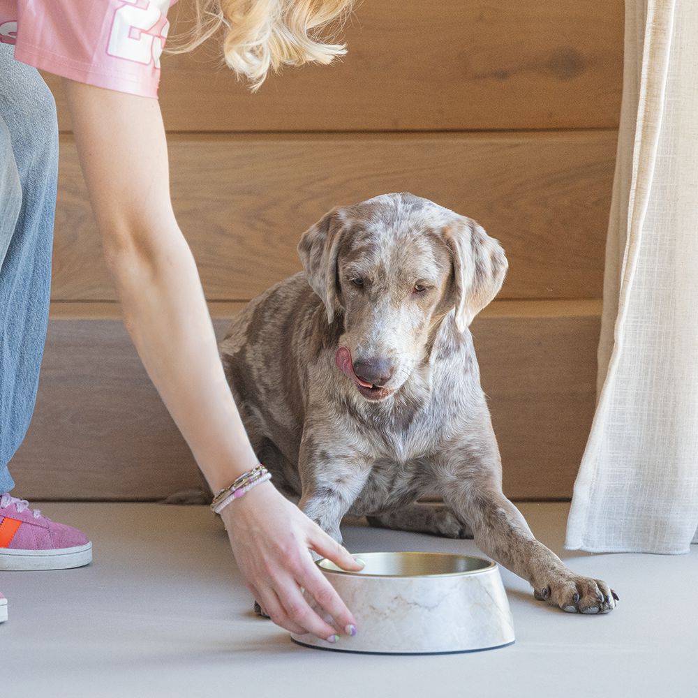 Designed by Lotte Hundenapf MEIS - Edelstahl - Futternapf Wassernapf marmoriert