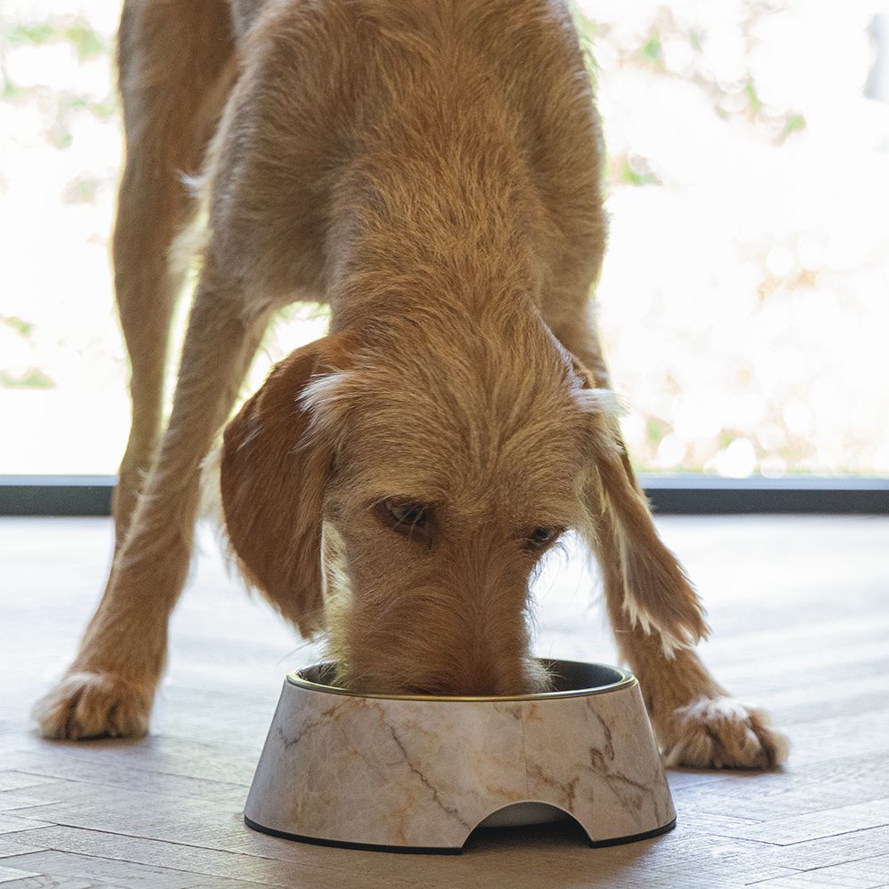 Designed by Lotte Hundenapf MEIS - Edelstahl - Futternapf Wassernapf marmoriert