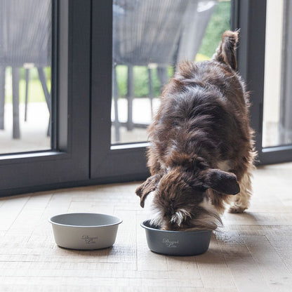 Designed by Lotte Hundenapf FERIBO - Edelstahl hellgrau Futternapf Wassernapf