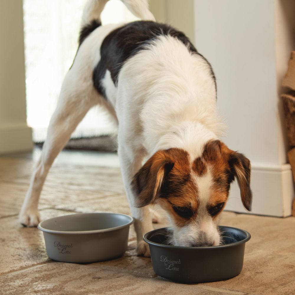 Designed by Lotte Hundenapf FERIBO - Edelstahl hellgrau Futternapf Wassernapf