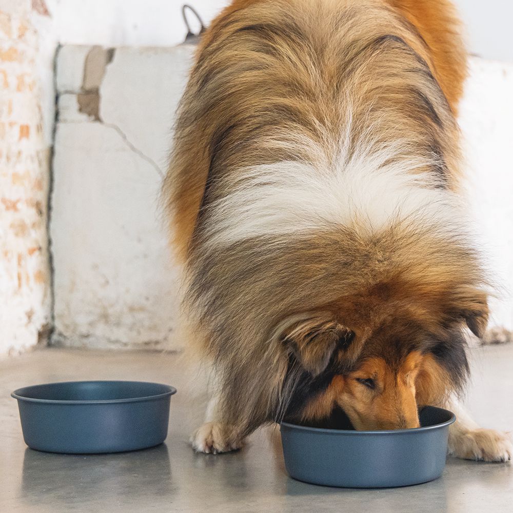 Designed by Lotte Hundenapf FERIBO - Edelstahl dunkelgrau Futternapf Wassernapf