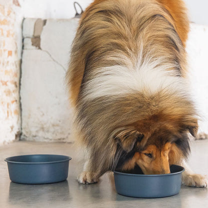 Designed by Lotte Hundenapf FERIBO - Edelstahl dunkelgrau Futternapf Wassernapf