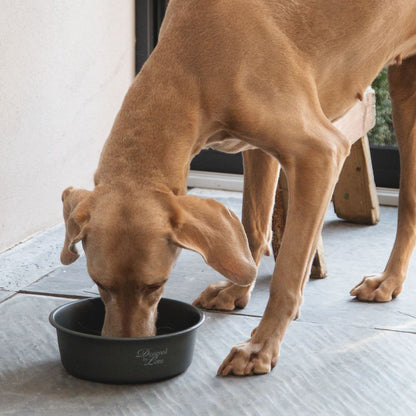 Designed by Lotte Hundenapf FERIBO - Edelstahl dunkelgrau Futternapf Wassernapf