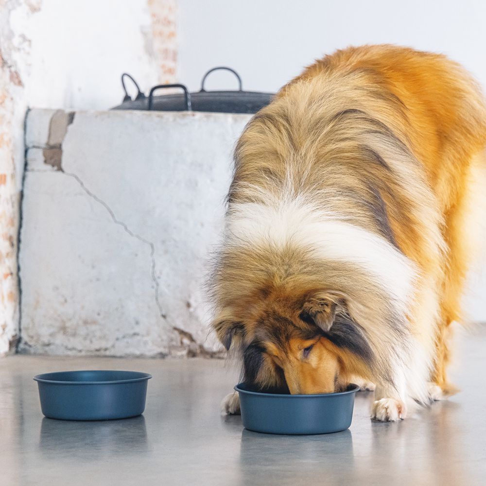 Designed by Lotte Hundenapf FERIBO - Edelstahl dunkelgrau Futternapf Wassernapf