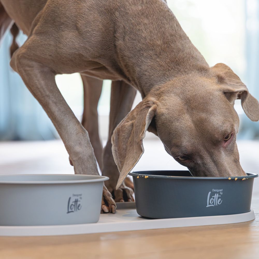 Designed by Lotte Hundenapf FERIBO - Edelstahl dunkelgrau Futternapf Wassernapf