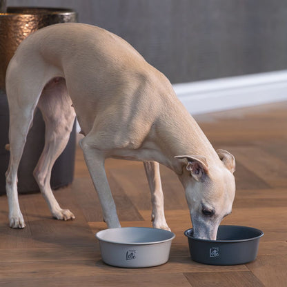 Designed by Lotte Hundenapf FERIBO - Edelstahl dunkelgrau Futternapf Wassernapf