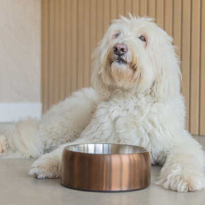 Designed by Lotte Edelstahl Hundenapf NOAR - bronze/schwarz/gold - Futternapf Wassernapf