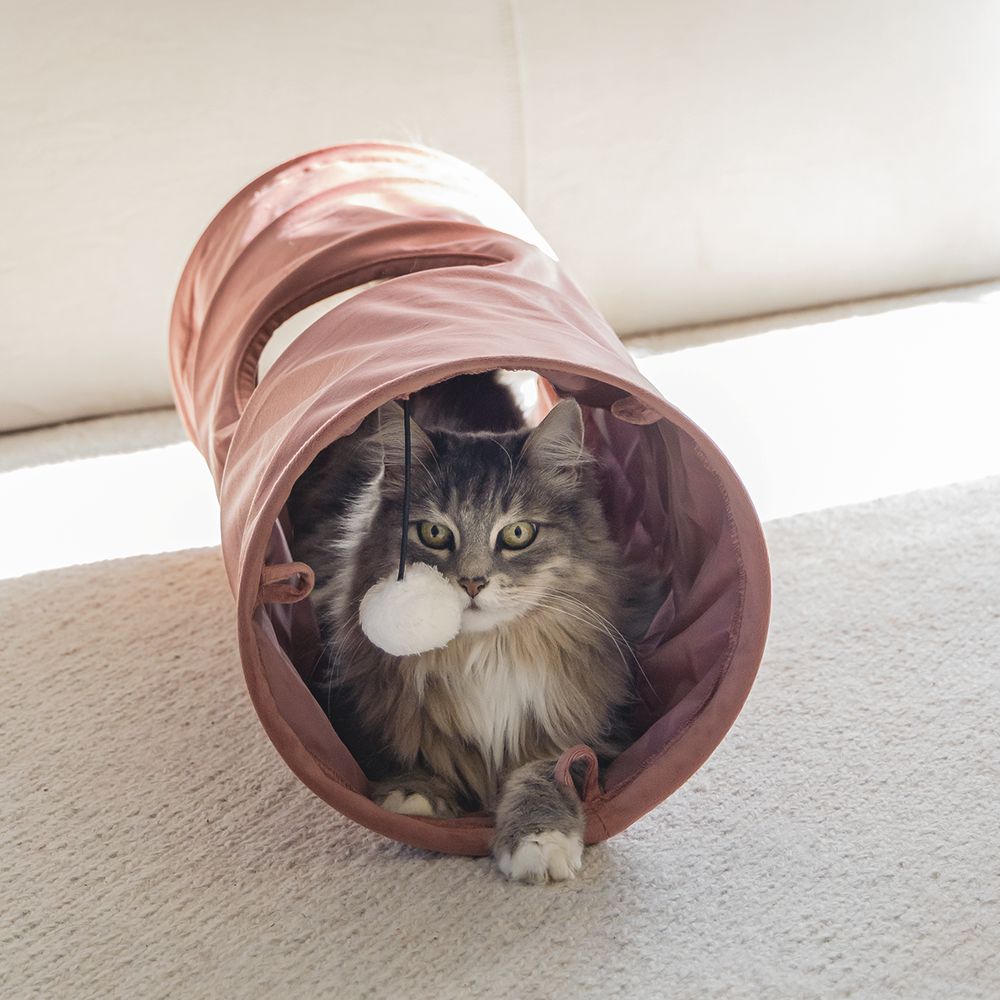 Designed by Lotte Katzentunnel CYLLA - 25 x 65 cm - Samt - Spielspaß für Katzen